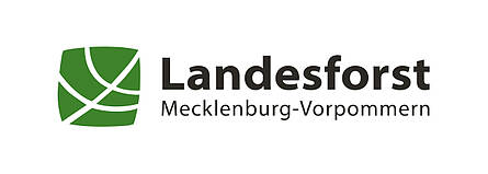 WaldLeben - die Walderlebnisangebote der Landesforst Mecklenburg-Vorpommern