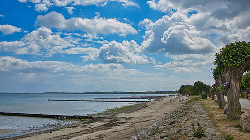 🎨 KunstOffen Mecklenburg-Vorpommern