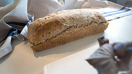 Einfaches Hermann-Brot
