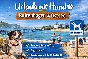 rlaub mit Hund in Boltenhagen – Hundestrände & Tipps