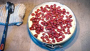 Kokos Kirsch Kuchen