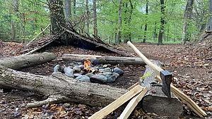 Waldleben deine Auszeit im Wald