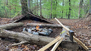 Waldleben deine Auszeit im Wald