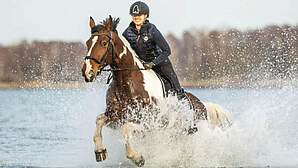 Ferienwohnungen Reiterhof Boltenhagen