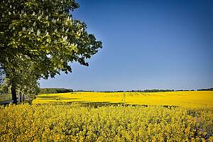 Sturm an der Ostsee in Boltenhagen mit hohen Wellen und dunklen Wolken