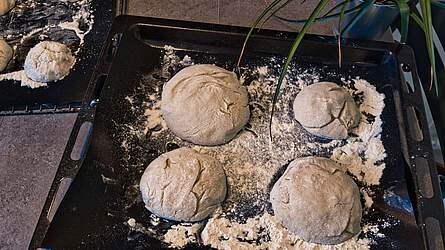 Hermann Zimtschnecken – saftiges Rezept mit Zimt & Zucker 🌀