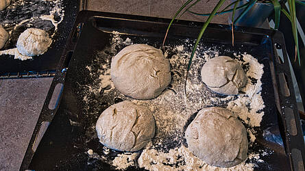 Hermann Zimtschnecken – saftiges Rezept mit Zimt & Zucker 🌀