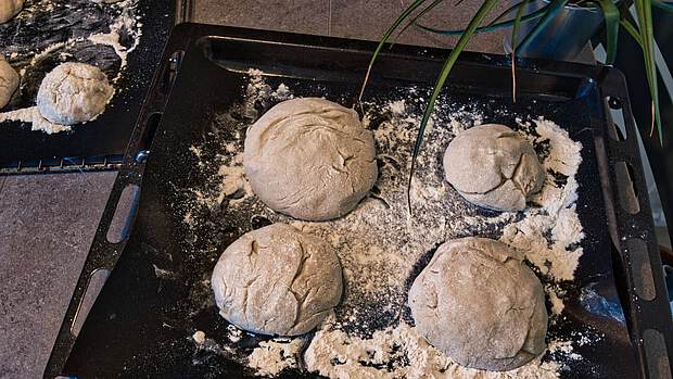Hermann Zimtschnecken – saftiges Rezept mit Zimt & Zucker 🌀