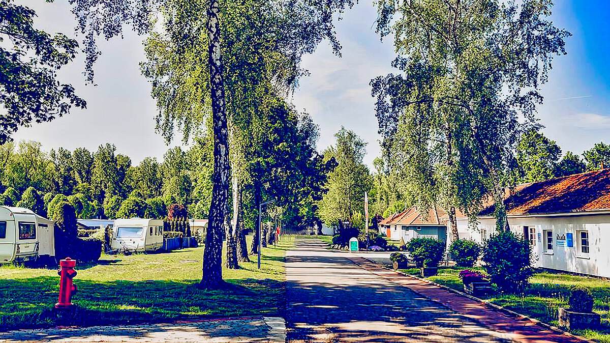 campingstuhl Ultraleichter Campingstuhl Strandstuhl klappbar Khlfach Rucksack   VAN-HALTESTELLE