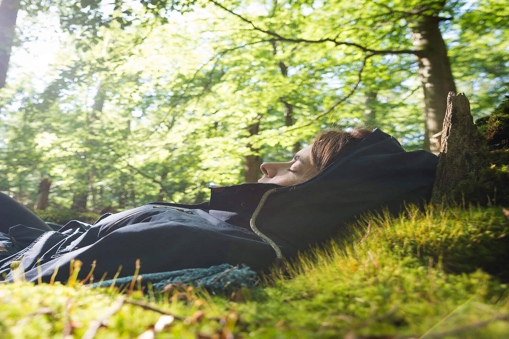 WaldZeit