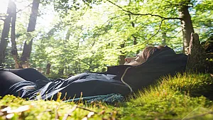 WaldZeit