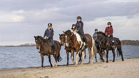 Ausritte im Ostseebad Boltenhagen