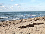 Brook - Strandabschnitt