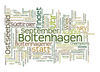 1. Boltenhagener Taschenlampenkonzert