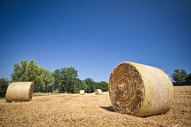 Fahrradtouren Boltenhagen