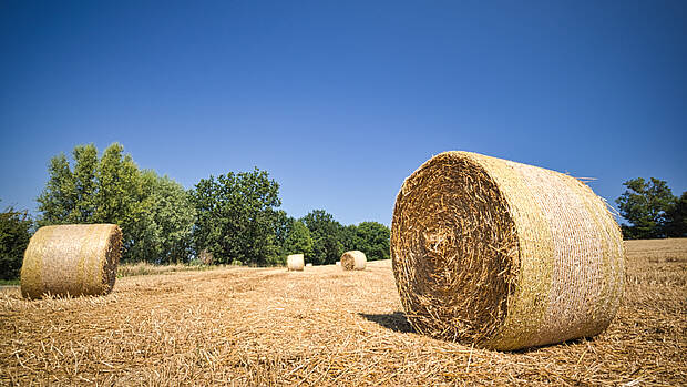 Fahrradtouren Boltenhagen Fahrradtouren Boltenhagen