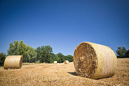 Fahrradtouren Boltenhagen