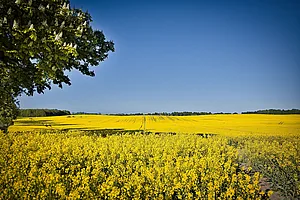 Frühling an der Ostsee