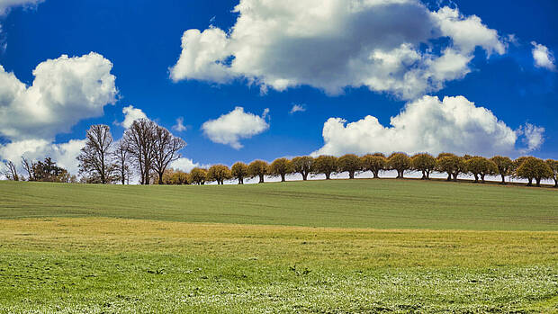 Spaziergänge und Wanderungen Boltenhagen Spaziergänge und Wanderungen Boltenhagen