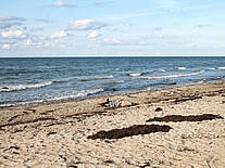 Gut Brook - Strand