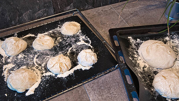 Hermann Muffins – saftig, schnell & perfekt zum Mitnehmen 🧁