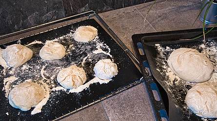 Hermann Muffins – saftig, schnell & perfekt zum Mitnehmen 🧁