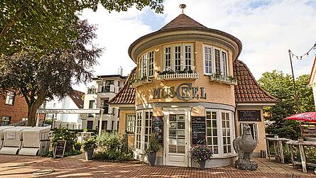 Ferienwohnungen Strandvilla Muschel im Ostseebad Boltenhagen