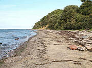 Brook - Strand