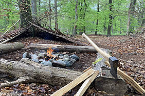 WaldWildnis