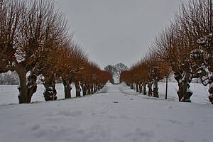Die 10 schönsten Weihnachtsmärkte 2025 an der Ostsee (Boltenhagen & Umgebung)
