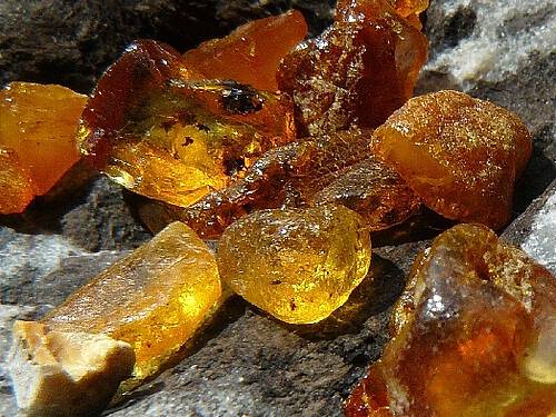 Nächtliche Bernsteinsuche