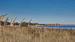 Yoga an der Ostsee – Retreat & Auszeit am Meer