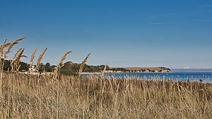 Yoga an der Ostsee – Retreat & Auszeit am Meer