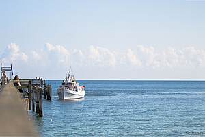 Wismar vom Wasser erleben!