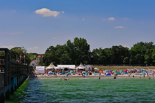 Salsa Beach